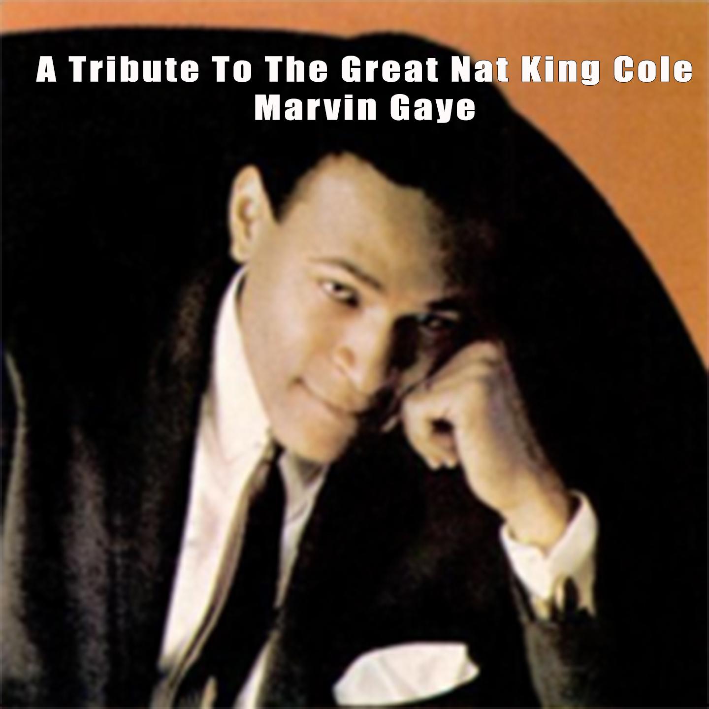 A Tribute To The Great Nat King Cole - Marvin Gaye专辑