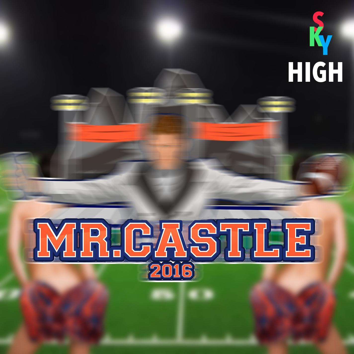 Mr. Castle 2016 - Syrelåt