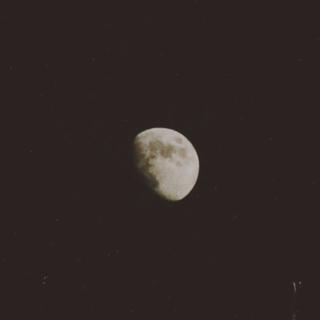 韩丨月亮是夜晚的伤口。