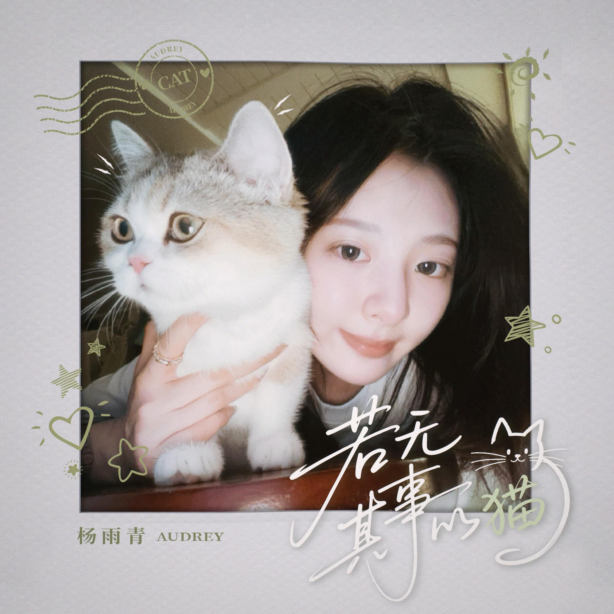 若无其事的猫专辑