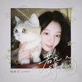 若无其事的猫