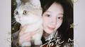 若无其事的猫专辑