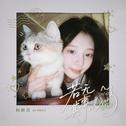 若无其事的猫专辑