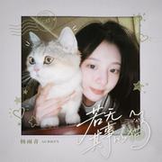 若无其事的猫