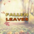 Fallen Leaves