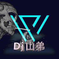 山歌伴奏 - 新十不该DJ狂嗨