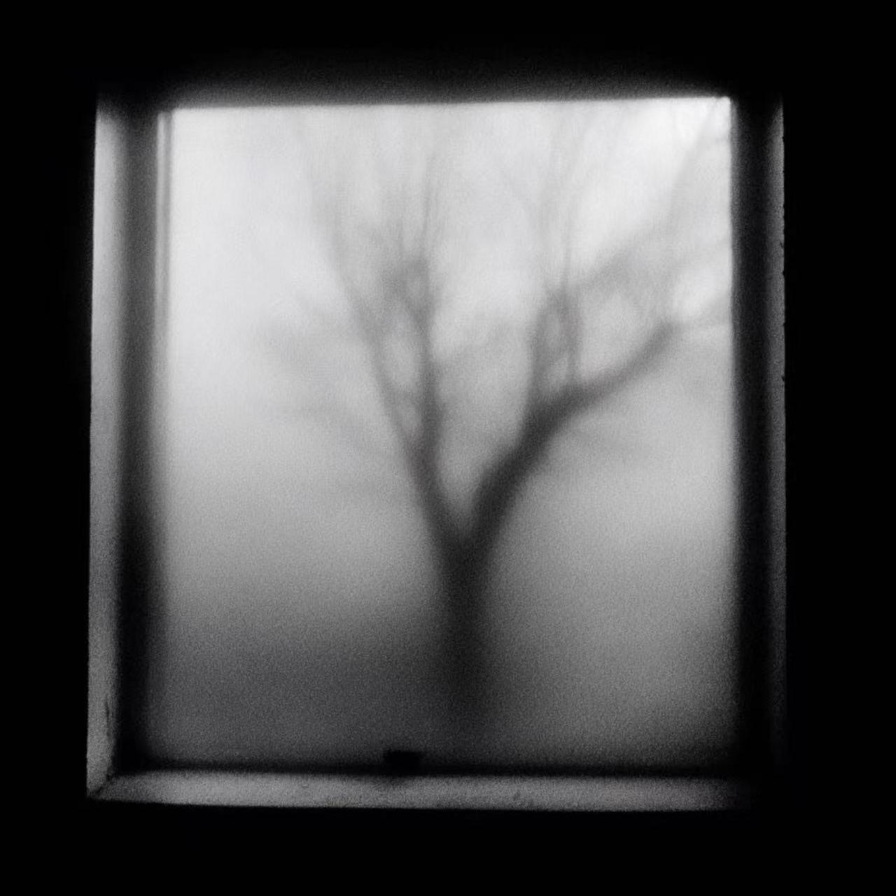 All Falls Silent（万籁归寂）