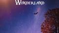 Wonderland专辑