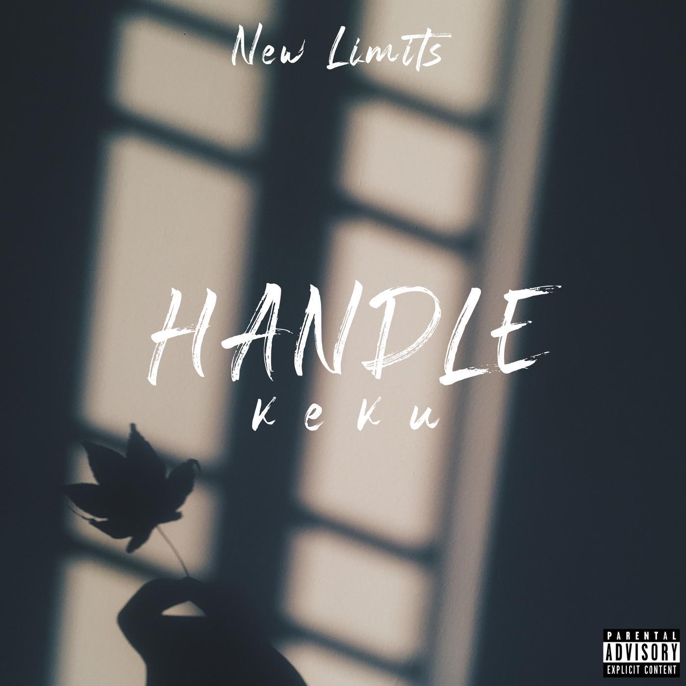 Handle