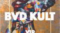 Vip专辑