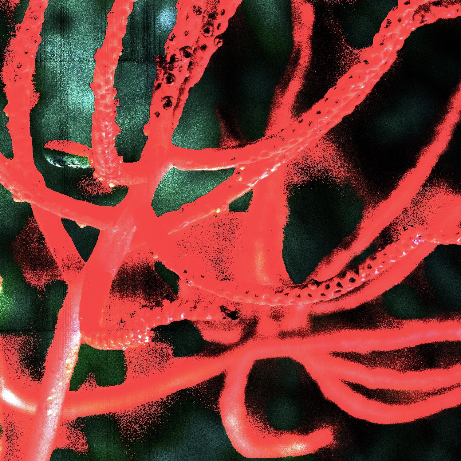 Pseudo (VIL Club Mix)