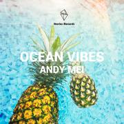 Ocean Vibes (Extended Mix)