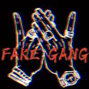 FAKE GANG