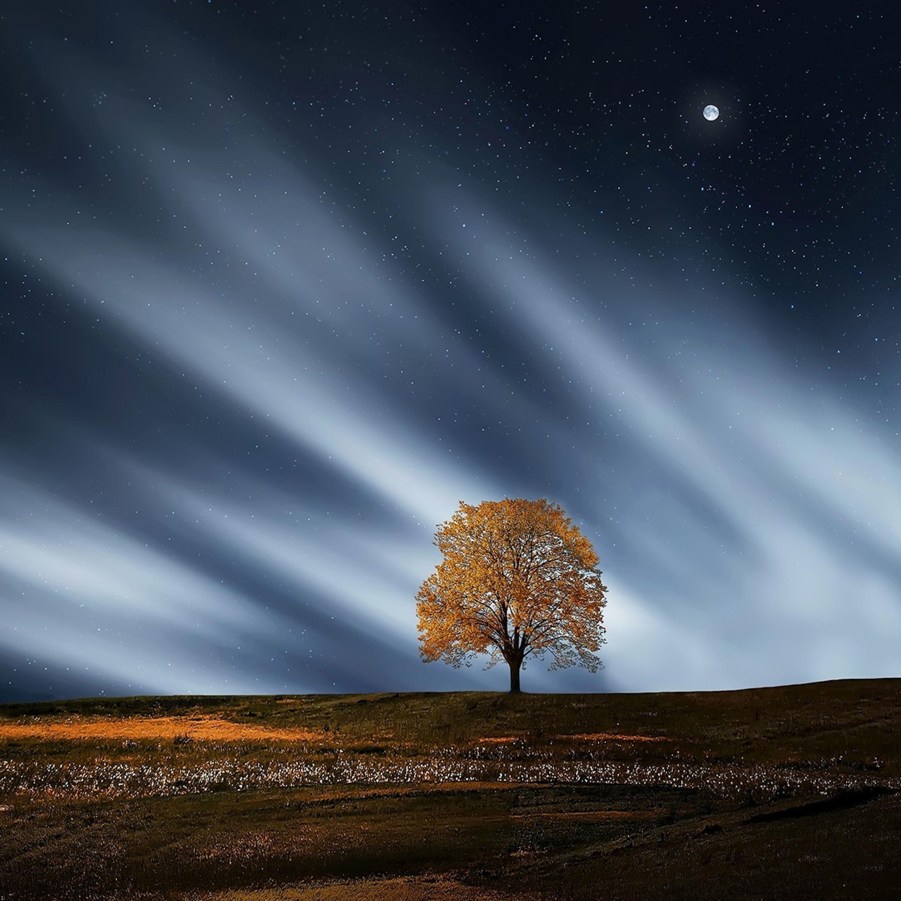 November 2019 Music Therapy - Ambient Sounds for Sleep