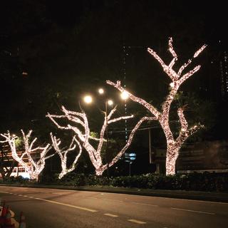 三米-歌单