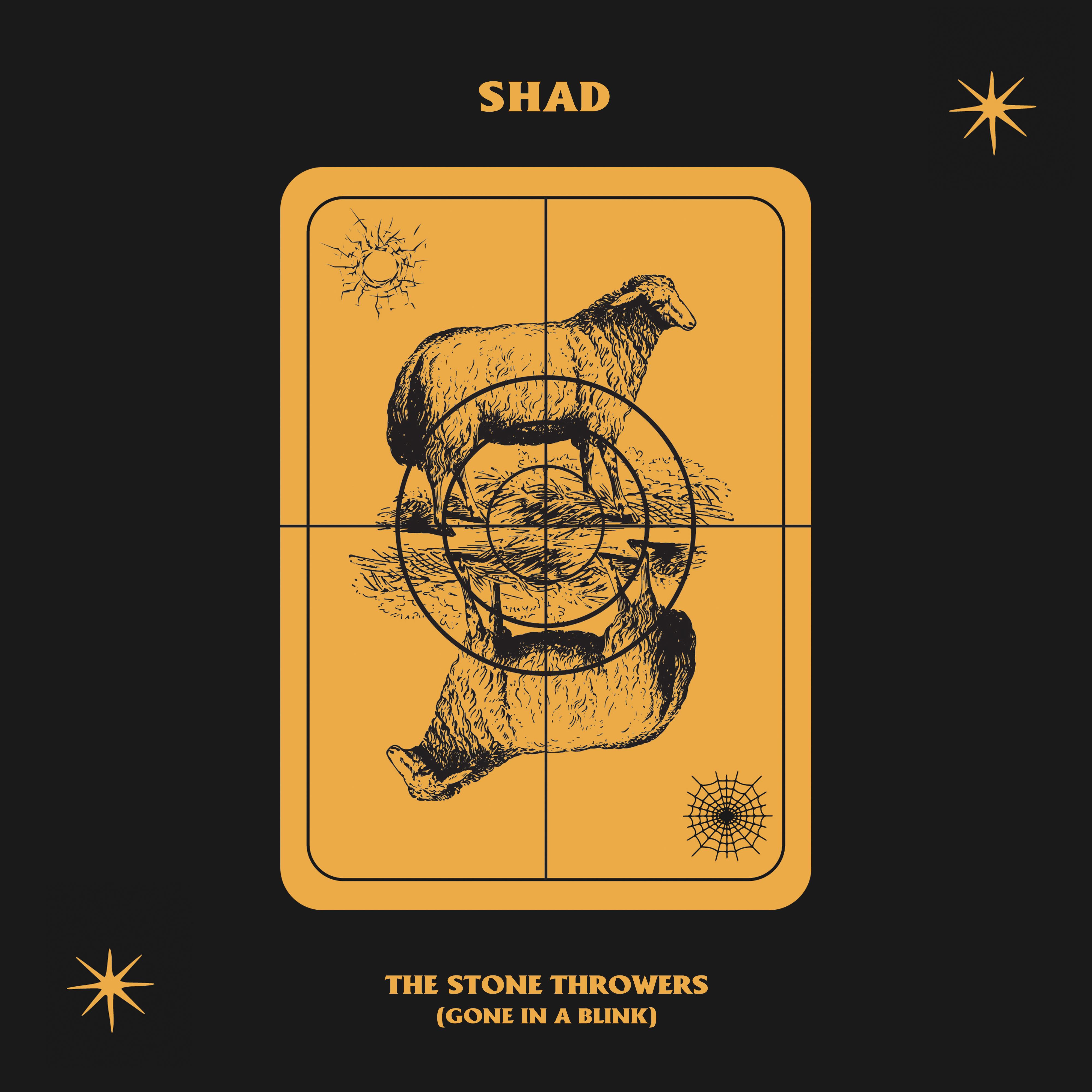 The Stone Throwers (Gone in a Blink)