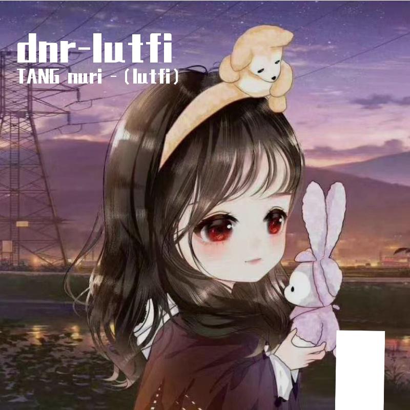 dnr-lutfi
