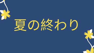 城之内ミサ