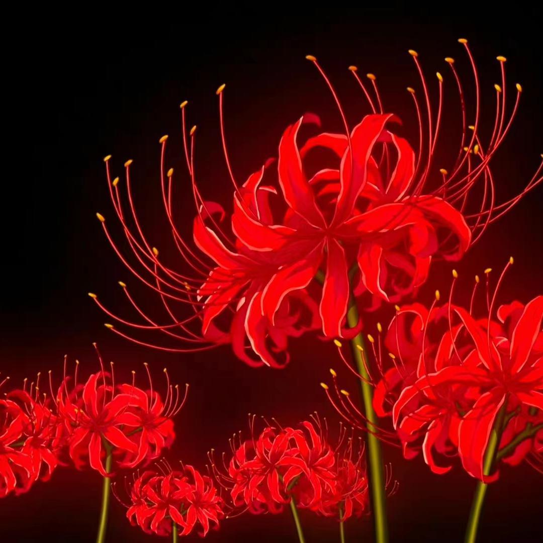 曼珠沙華(manjusaka)