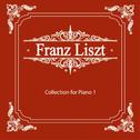 리스트(Liszt) Collection for Piano 1专辑