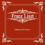 리스트(Liszt) Collection for Piano 1专辑