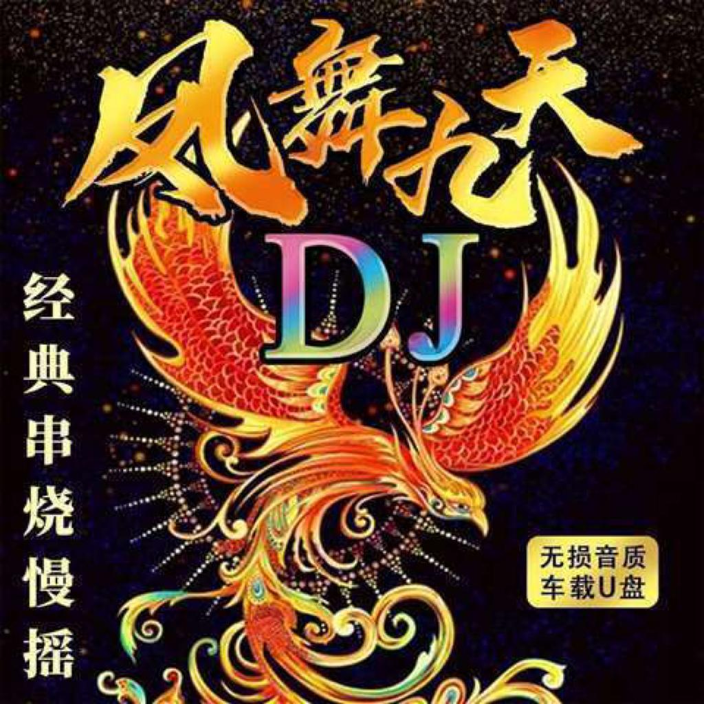 90后DJ 凤舞九天 金色年华 冰河时代 A8慢摇 | 在线播放 | 网易云音乐