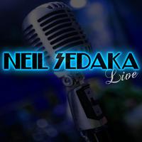 Neil Sedaka - The Immigrant (karaoke)