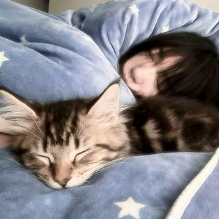 再也不要有人走近我平静的生活了