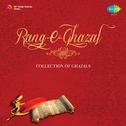 A Collection Of Ghazals专辑