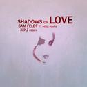 Shadows Of Love (MKJ Remix)专辑