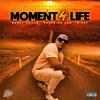 DJ Flyboy Ant - Moment 4 Life (feat. Bobby Crillz, Rockstar Ham & D Roy)