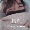 TNT专翻