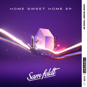 Sam Feldt ft Alma & Digital Farm Animals - Home Sweet Home (Extended) (Instrumental) 原版无和声伴奏 （降3半音）