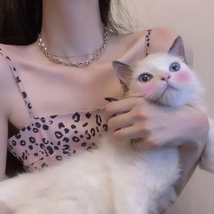 【值得拥有的歌单】梦里梦外都是你/流行