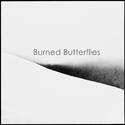 Burned Butterflies