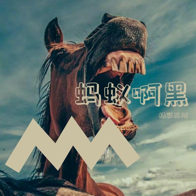 蚂蚁啊黑