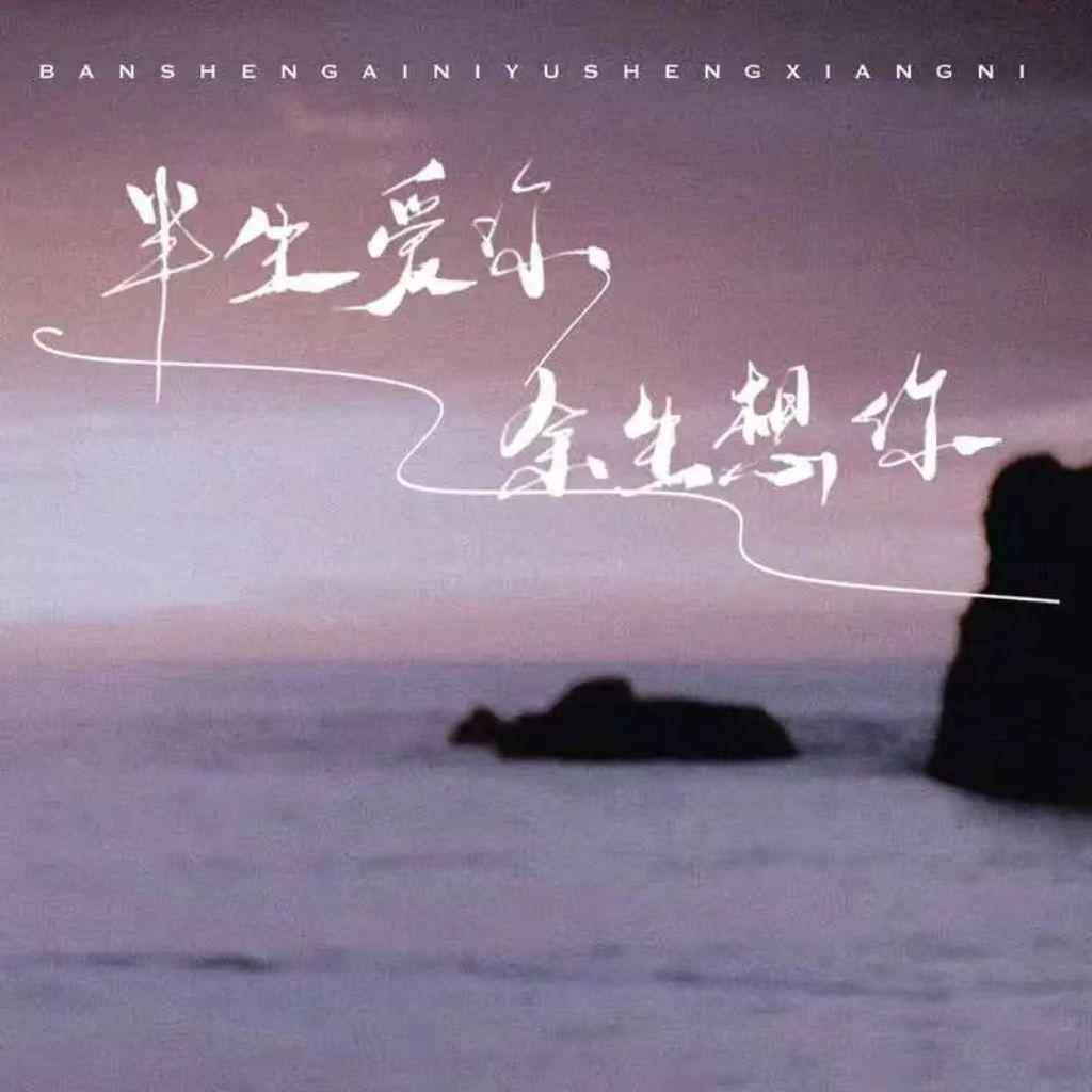 半生爱你余生想你