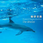 大自然音乐系列-鲸声奇遇专辑