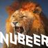 NUBEER乐队