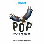 Power Of Praise专辑