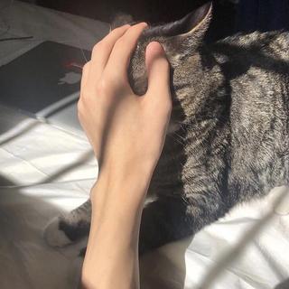 你是我漫长黑夜里的迷恋与遗忘