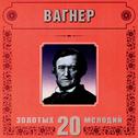 Richard Wagner. 20 Golden Melodies In Modern Processing专辑