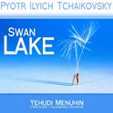 Tchaikovsky: Swan Lake专辑