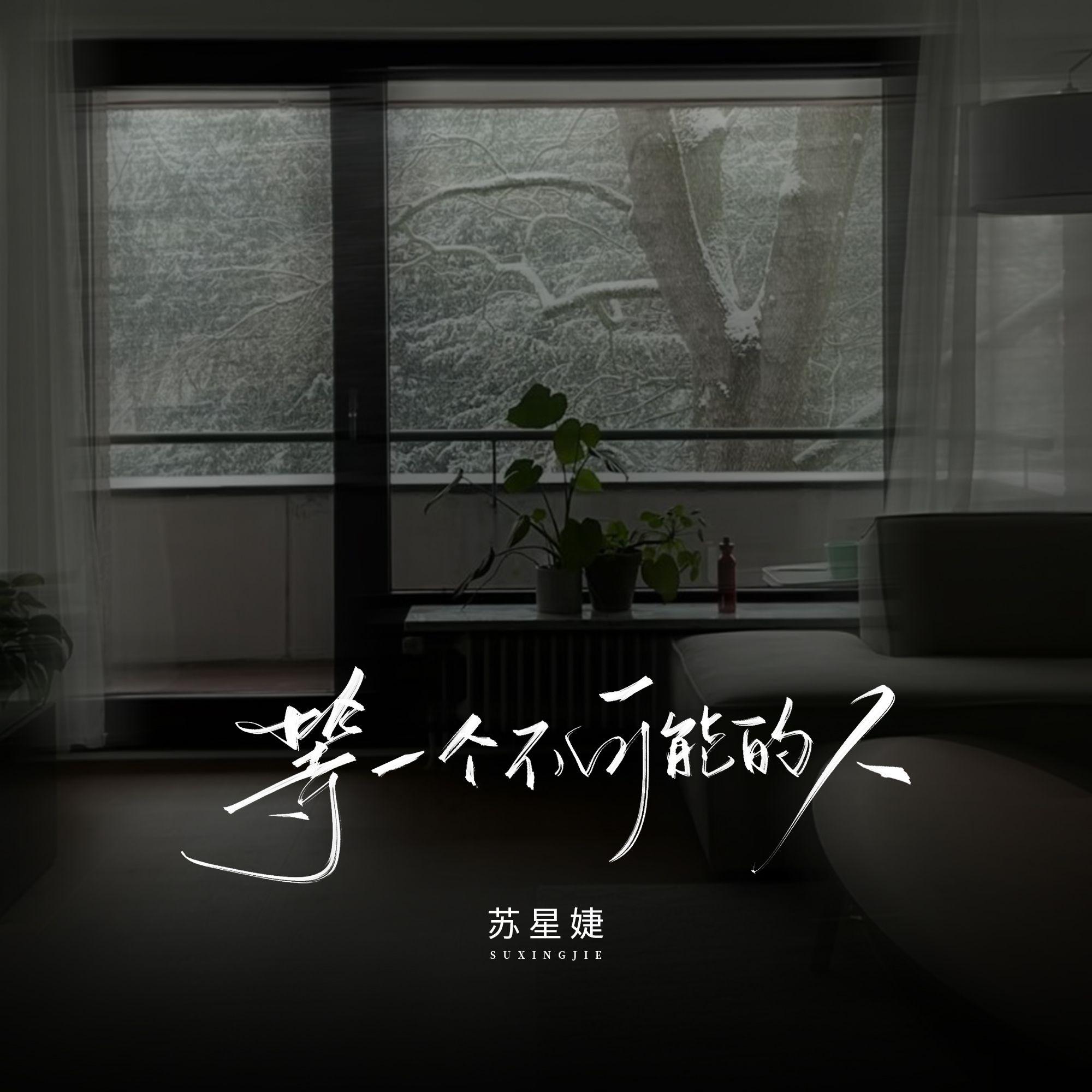等一个不可能的人专辑
