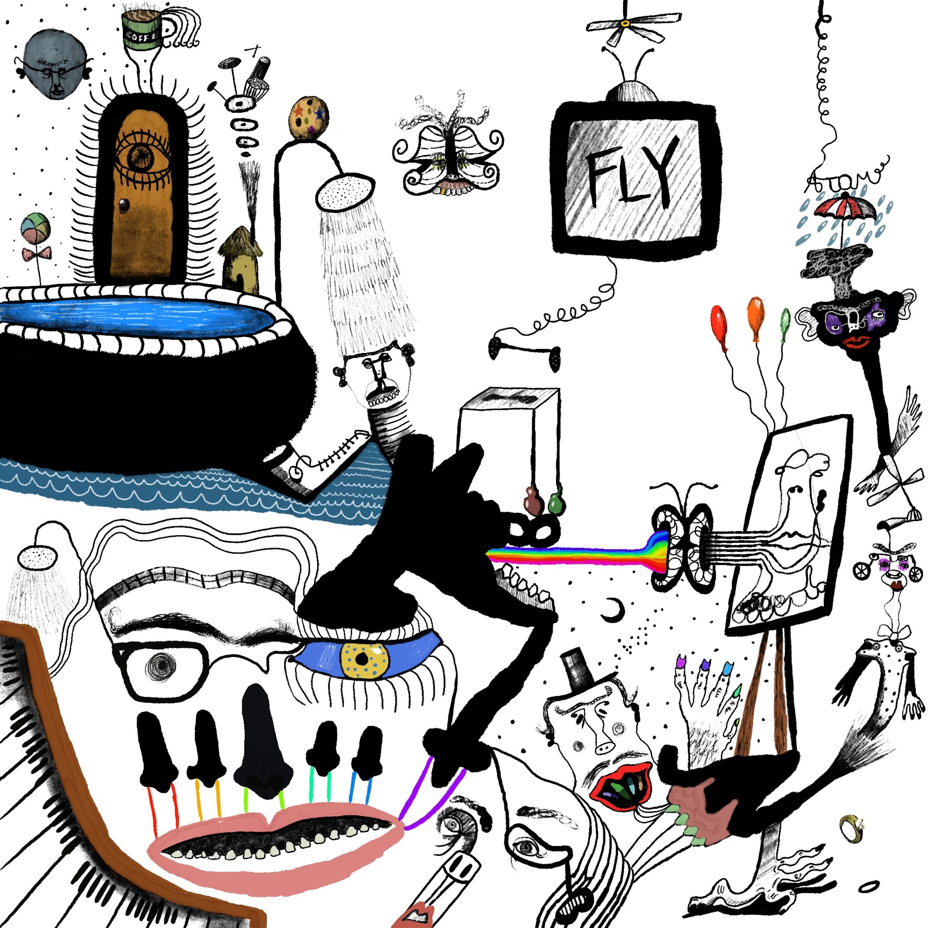 Fly