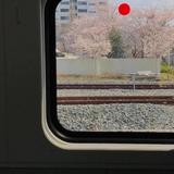 裕