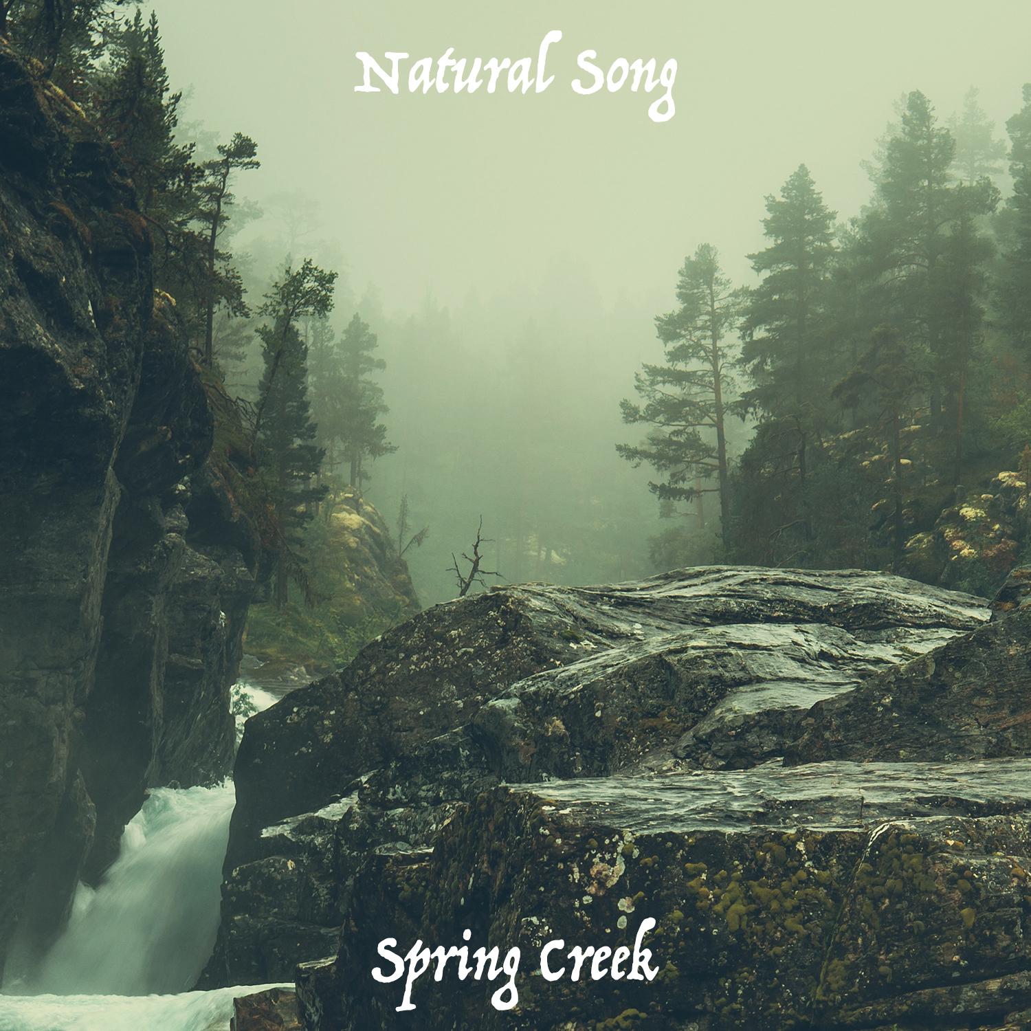 Natural Song - Spring Creek