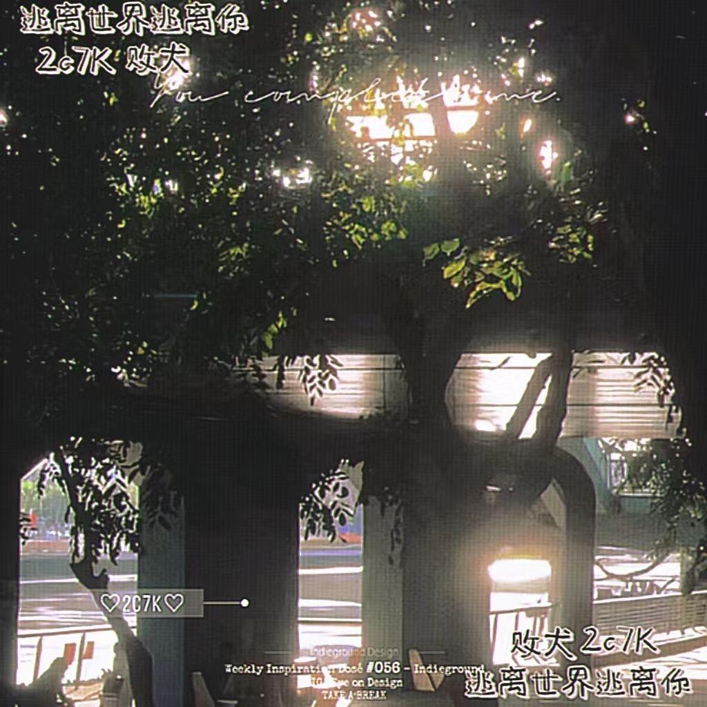 逃离世界逃离你