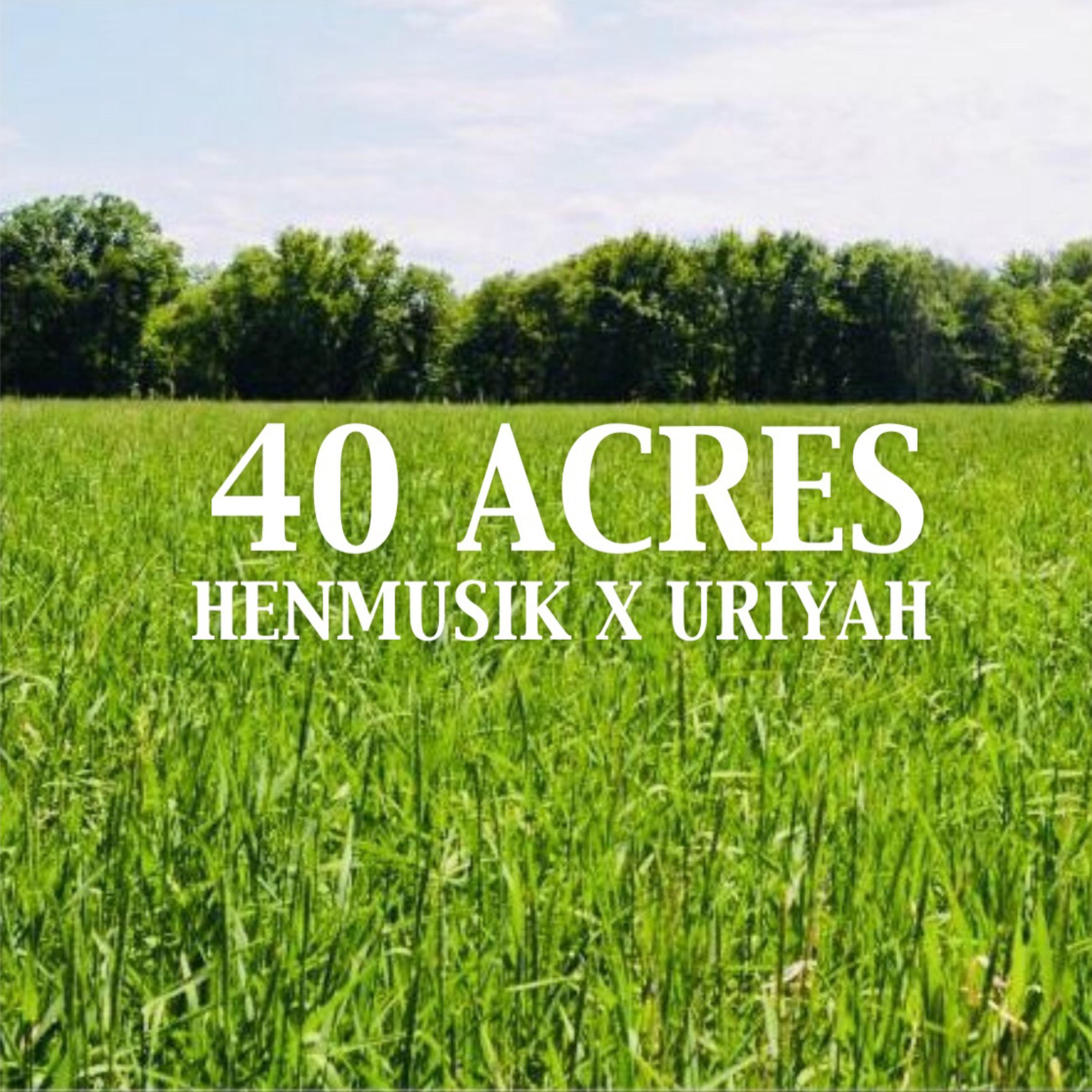40 Acres