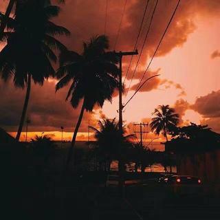 写作业必备歌单